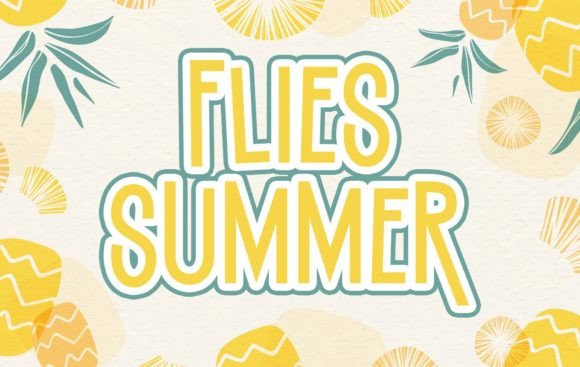 Flies Summer Font: Whimsical Display Type for Makers