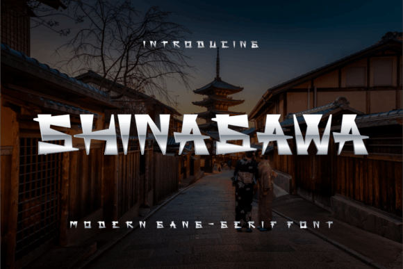 Shinagawa: How a Bold Display Font Transformed My Campaign Visuals